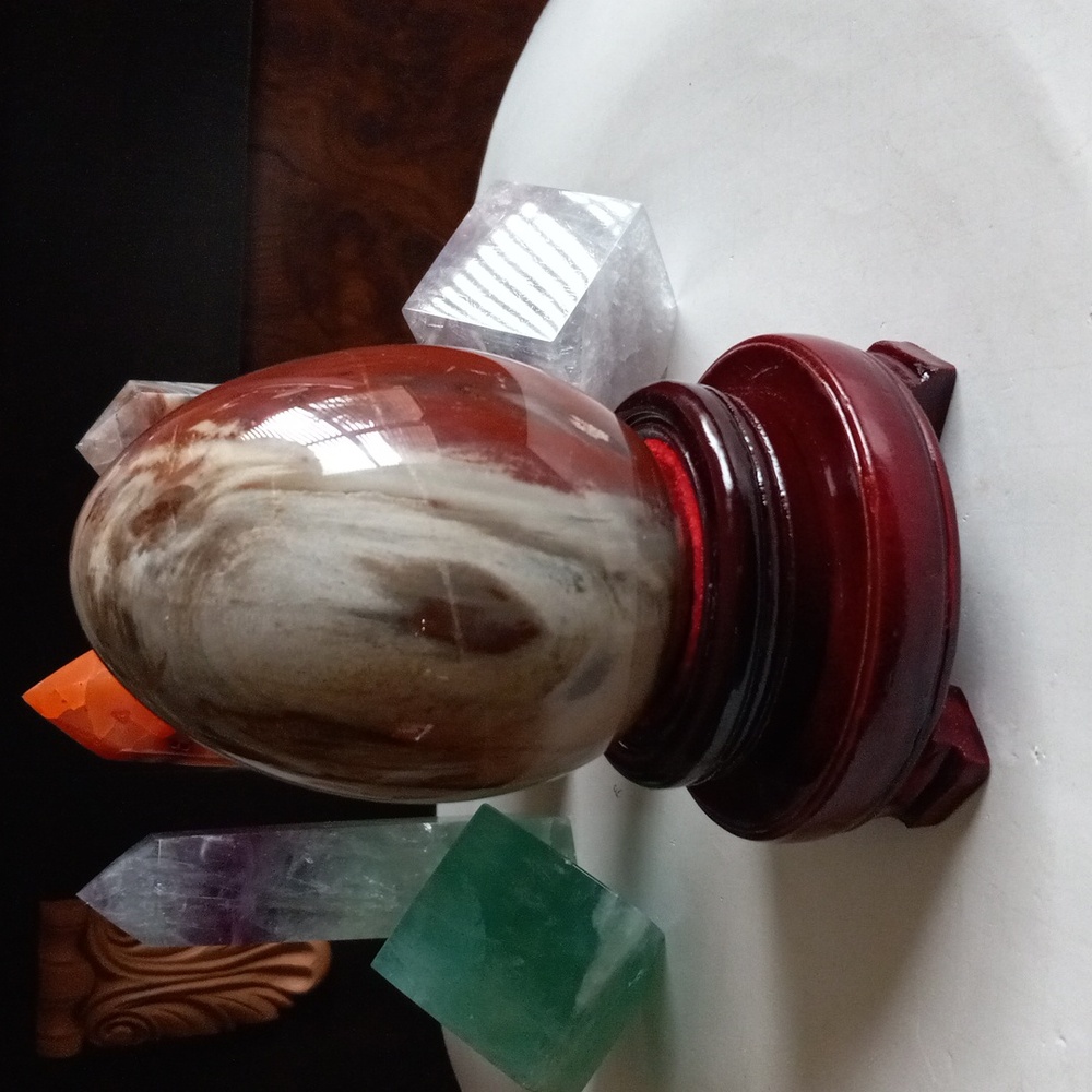 Beautiful Petrified Wood Crystal  Egg.